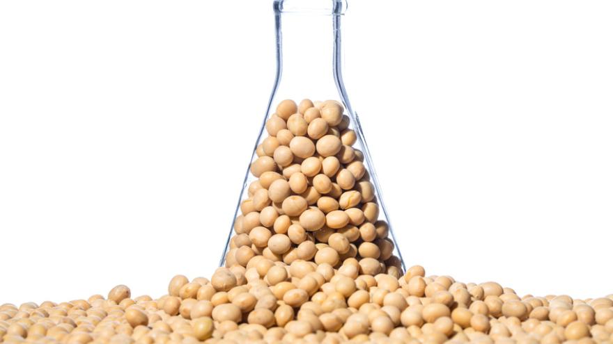 Isoflavone – Hilfe in den Wechseljahren? | Verbraucherzentrale.de